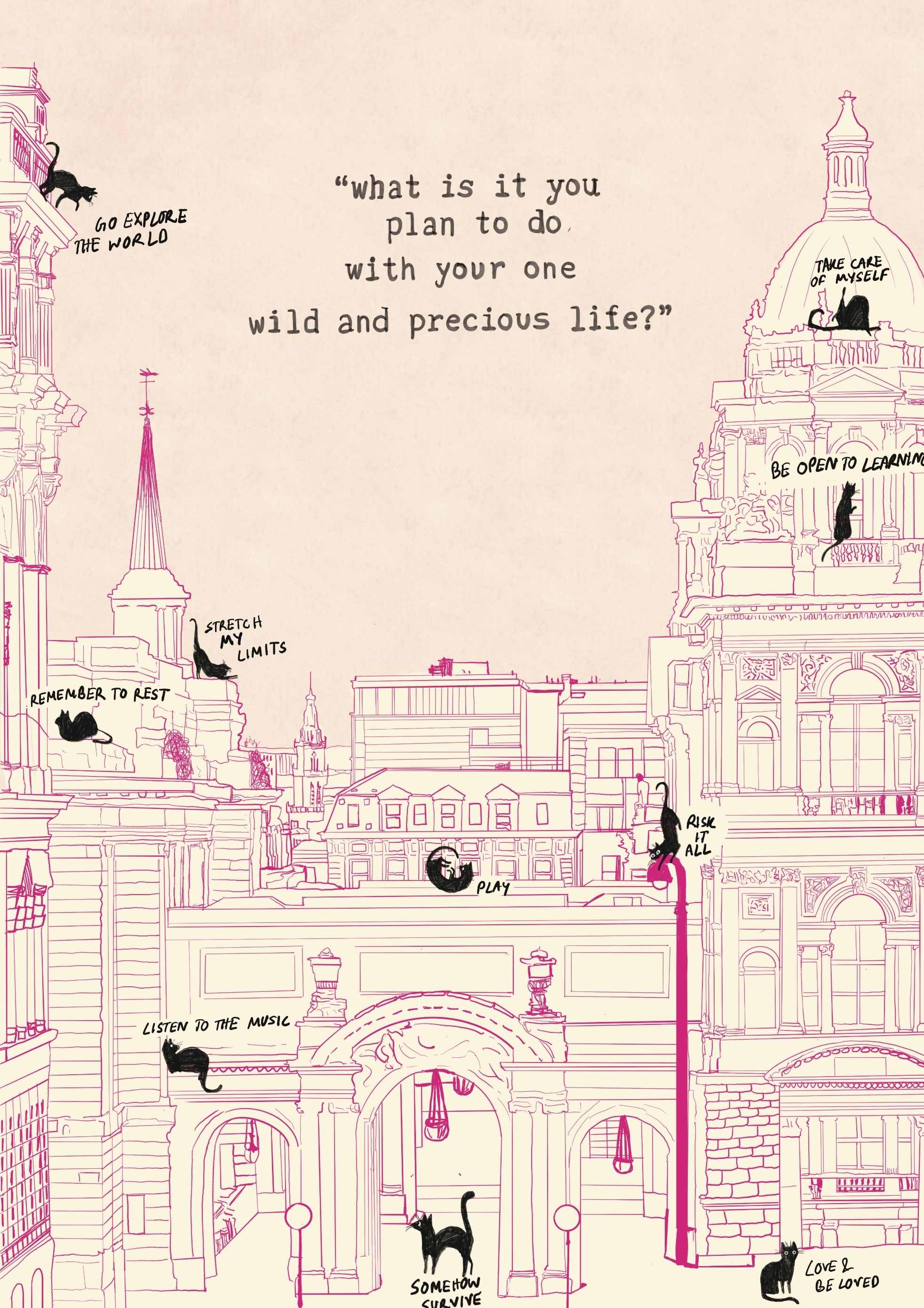 Black Cat in the City