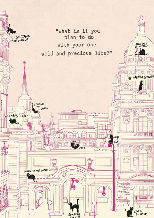 Black Cat in the City